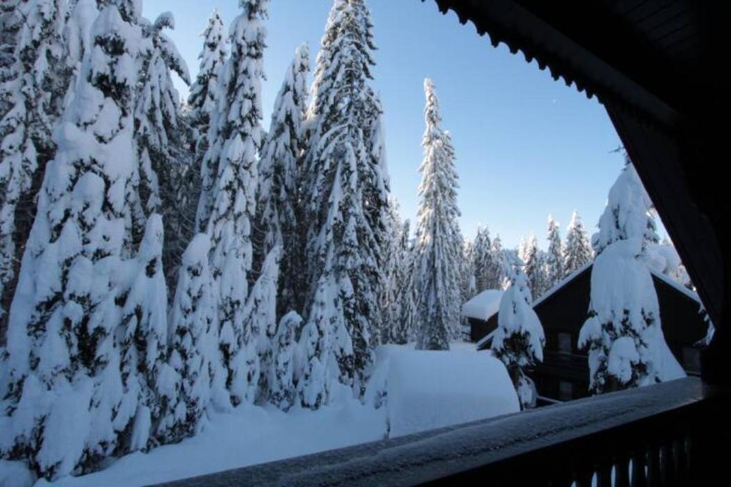Chalet Trzinka - Triglav National Park Goreljek Dış mekan fotoğraf